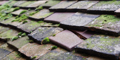 Swinford roof repair costs